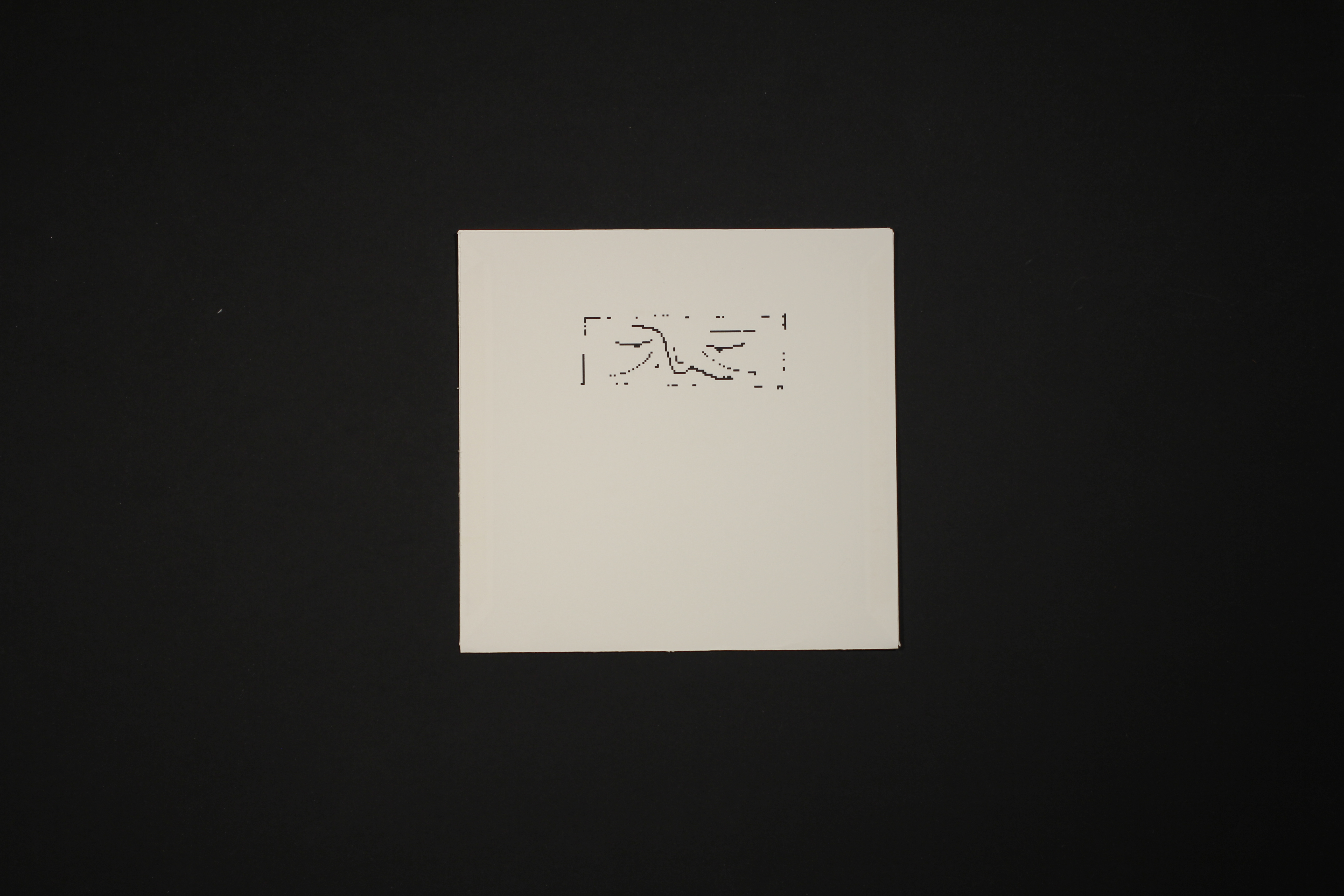 Extra Image 2